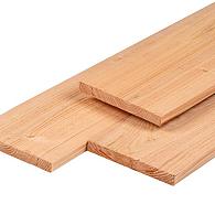 Douglas tuinplank 1 zijde geschaafd 28x245 mm 400 cm