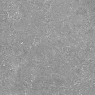 Pietra Belgio Grigio Chiaro 60x60x2 cm