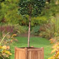Bloembak teak Kalimantan 51x51x56 cm