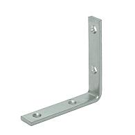 GB Dorpelhoek zwaar 20x4x100 mm Verzinkt
