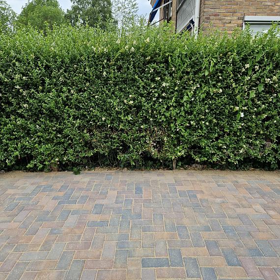 Betonstraatsteen 6 cm oud bussum komo