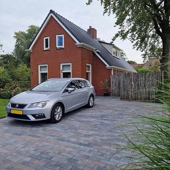 Longstone opritsteen 7 cm oud drachten