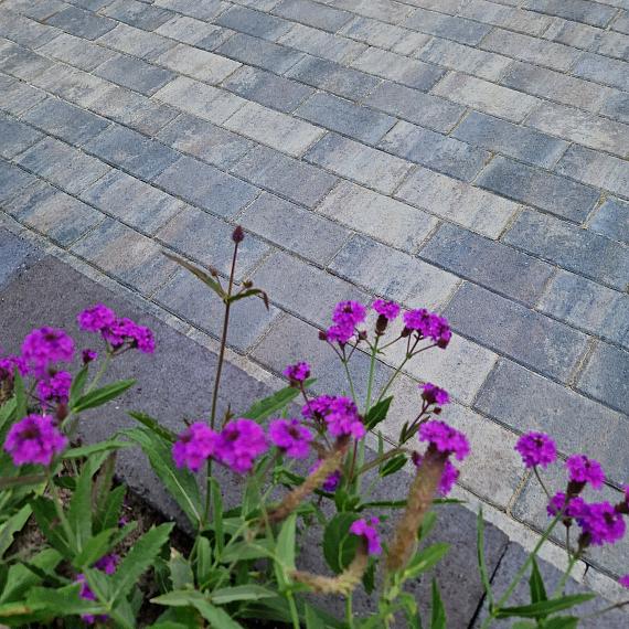Patio betonstraatsteen 6 cm ocean TOP mini facet komo