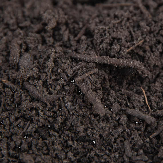 1 m3 Compost inclusief bezorging los gestort