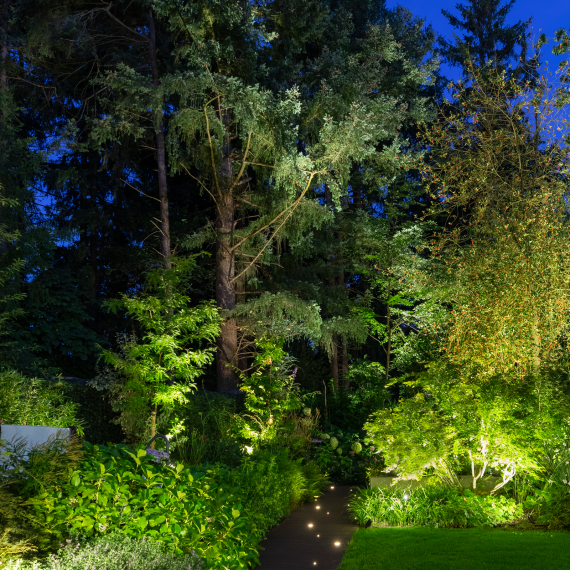 In-Lite BIG SCOPE NARROW