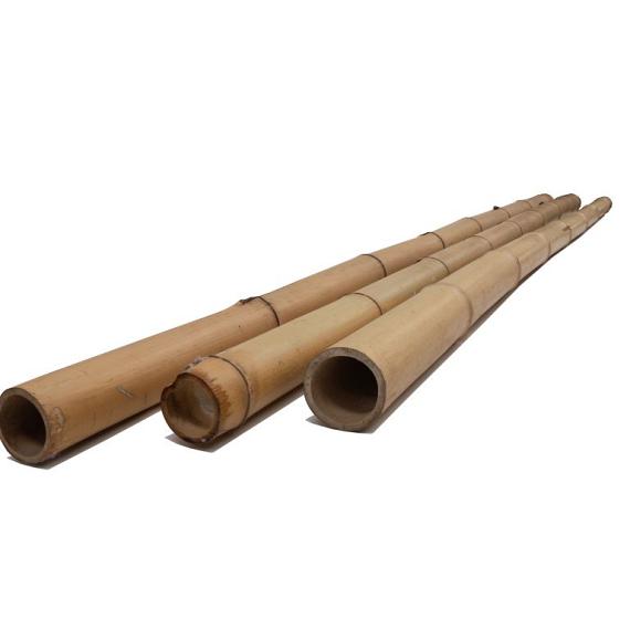 Bamboepaal 4-5 cm x 240 cm