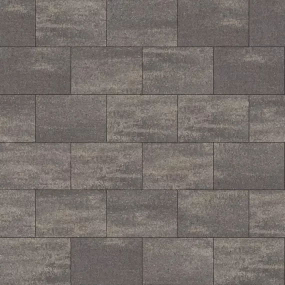 TREMICO 20x30x6 cm Drents bont