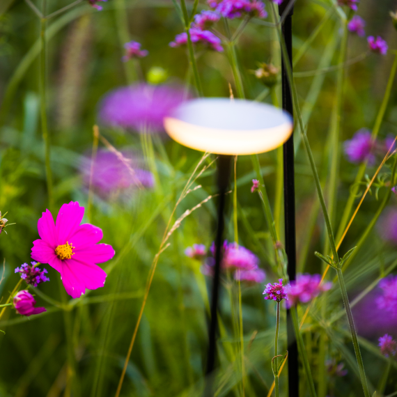 In-Lite SWAY LIGHT HEAD Pearl Grey