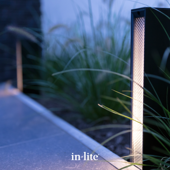 In-Lite Evo Solitary Low 12V - Dark