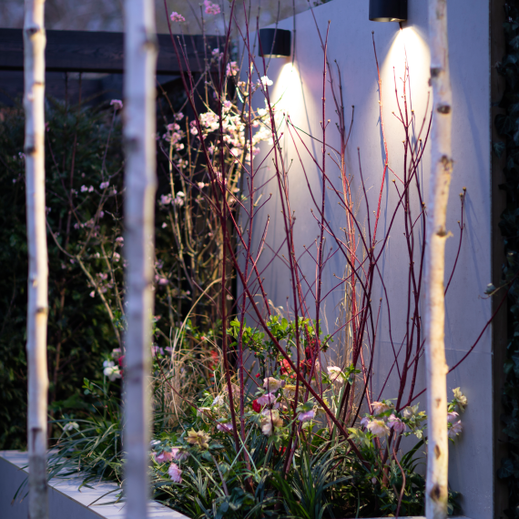 In-Lite HALO DOWN 100-230V