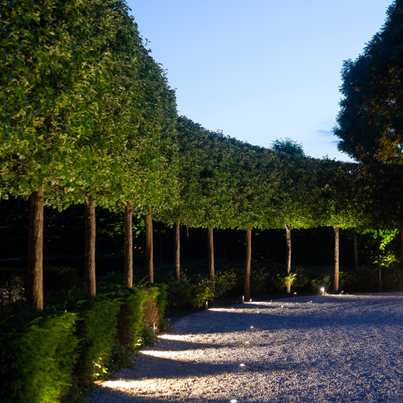 In-Lite ACE Dark Grey