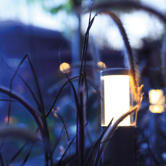 In-Lite Liv Solitary Low 12V - Rosé Silver