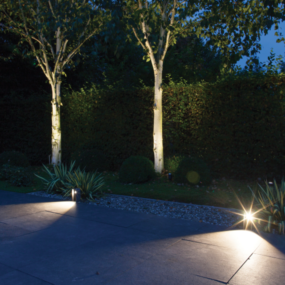 In-Lite ACE Rosé Silver