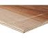 Multiplex Hardhout WBP 2440x1220x22 mm