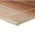 Multiplex Hardhout WBP 2440x1220x3,6 mm