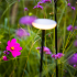 In-Lite Sway Light Head Pearl Grey Solitary