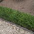 Ecolat recht 14cm x 10mm 2m/ stuk