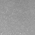 Citadello Grigio banenverband 60/80/100x40x3 cm soft finish, kanten gezaagd