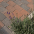 TAMBOUR 20x30x6 cm brons