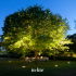 In-Lite Big Nero 12V - Dark