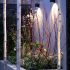 In-Lite Halo Down Wall 100-230v - Black