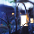 In-Lite Liv Solitary Low 12V - Rosé Silver