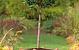 Bloembak teak Lombok 45x45x47 cm