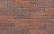 Clayville Oostende WF 200x48x60 mm getrommeld (1040 stuks/pallet, 98 stuks/m2)