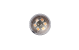 In-Lite DB-LED Warm White 12v