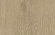 forest 120x30x2 ash oak