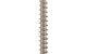 WOODIES Spaanplaatschroef RVS A2 Torx 3.0x20 200 st.